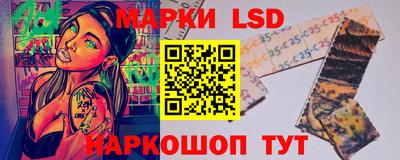 прущие грибы Нальчик