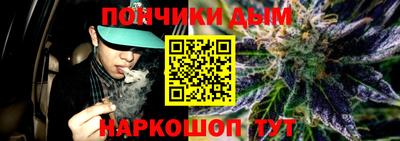 прущие грибы Нальчик