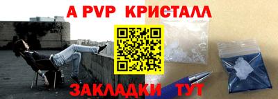 прущие грибы Нальчик